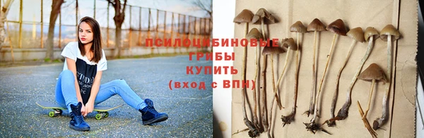 сатива Одинцово