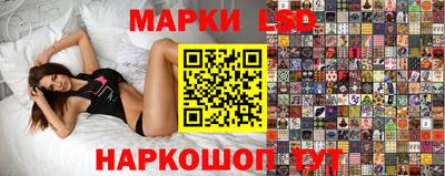 a pvp Камышлов