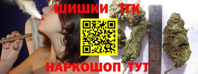a pvp Камышлов