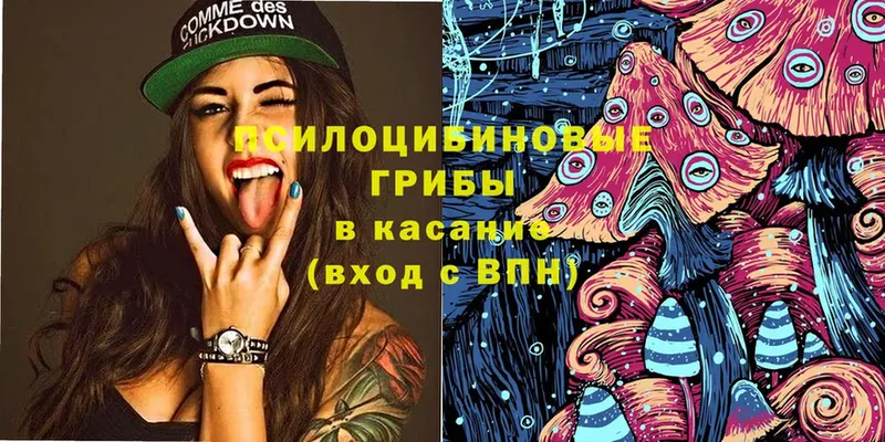 Галлюциногенные грибы MAGIC MUSHROOMS  купить закладку  Мыски 