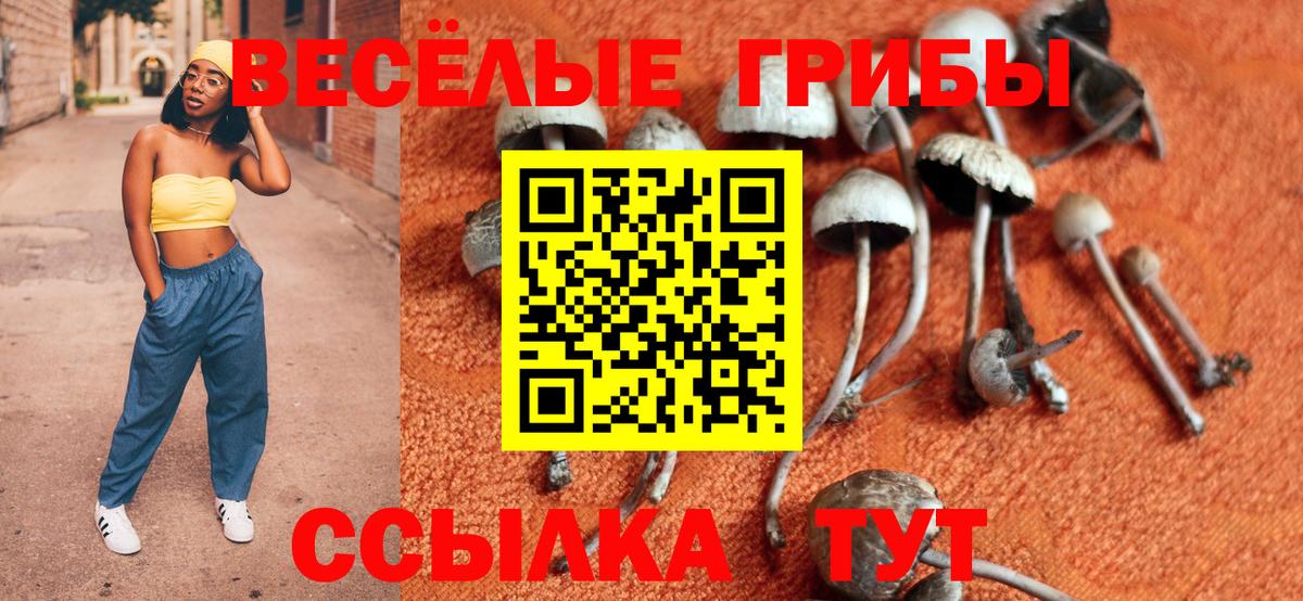 Псилоцибиновые грибы GOLDEN TEACHER  Мыски  Галлюциногенные грибы мухоморы 