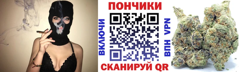 Шишки марихуана планчик цены наркотик Мыски